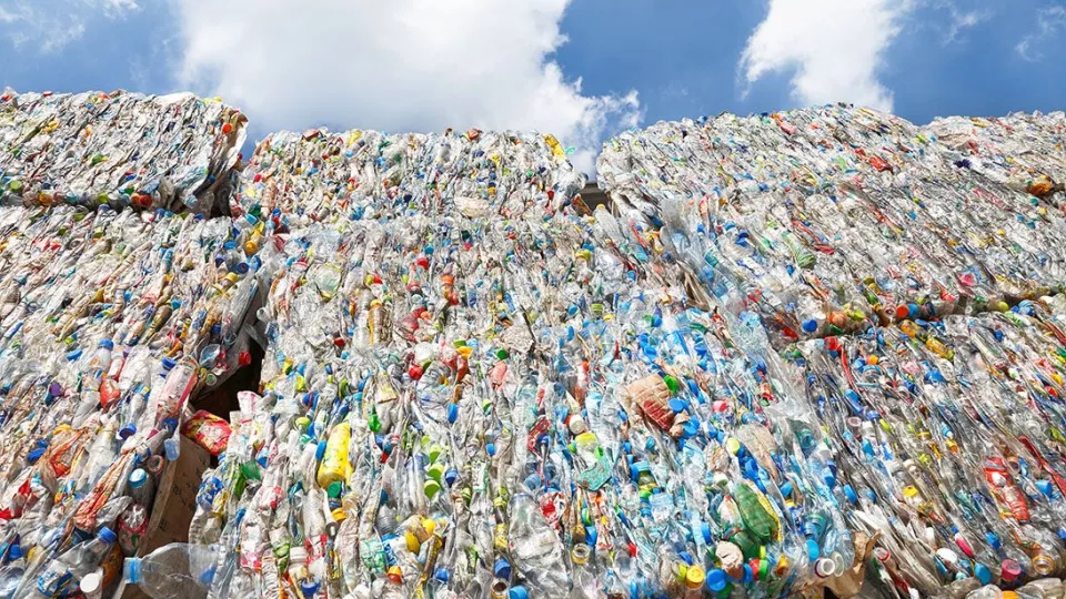 Plastic Waste, photo