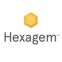 Logo Hexagem